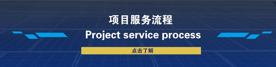 检测服务流程