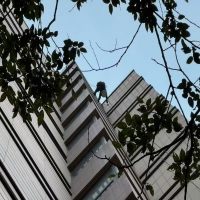 外墙空鼓检测：保障建筑安全的关键环节