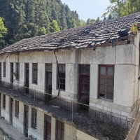 D级鉴定结论要慎重