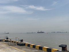 广东湛江某码头工程综合检测评估